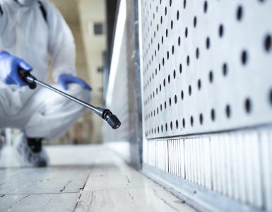 pourquoi contacter deratiseur peronne invasion rongeurs